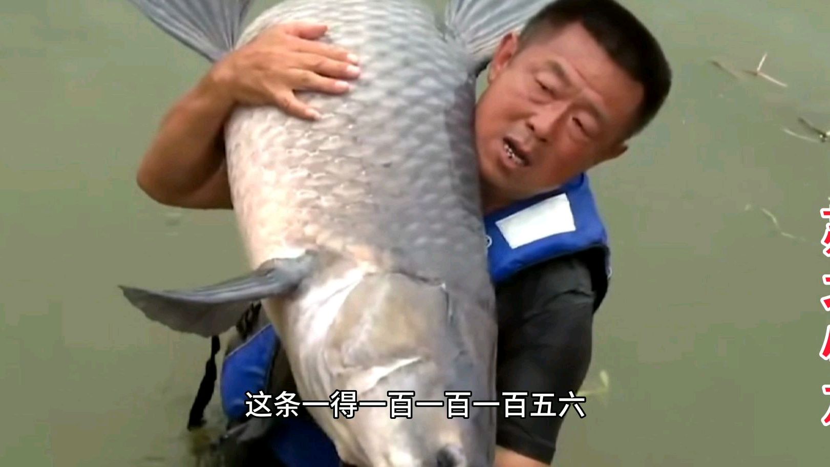 李大毛老师,刚到河南,用手竿钓获一条150斤大青鱼,太高兴了