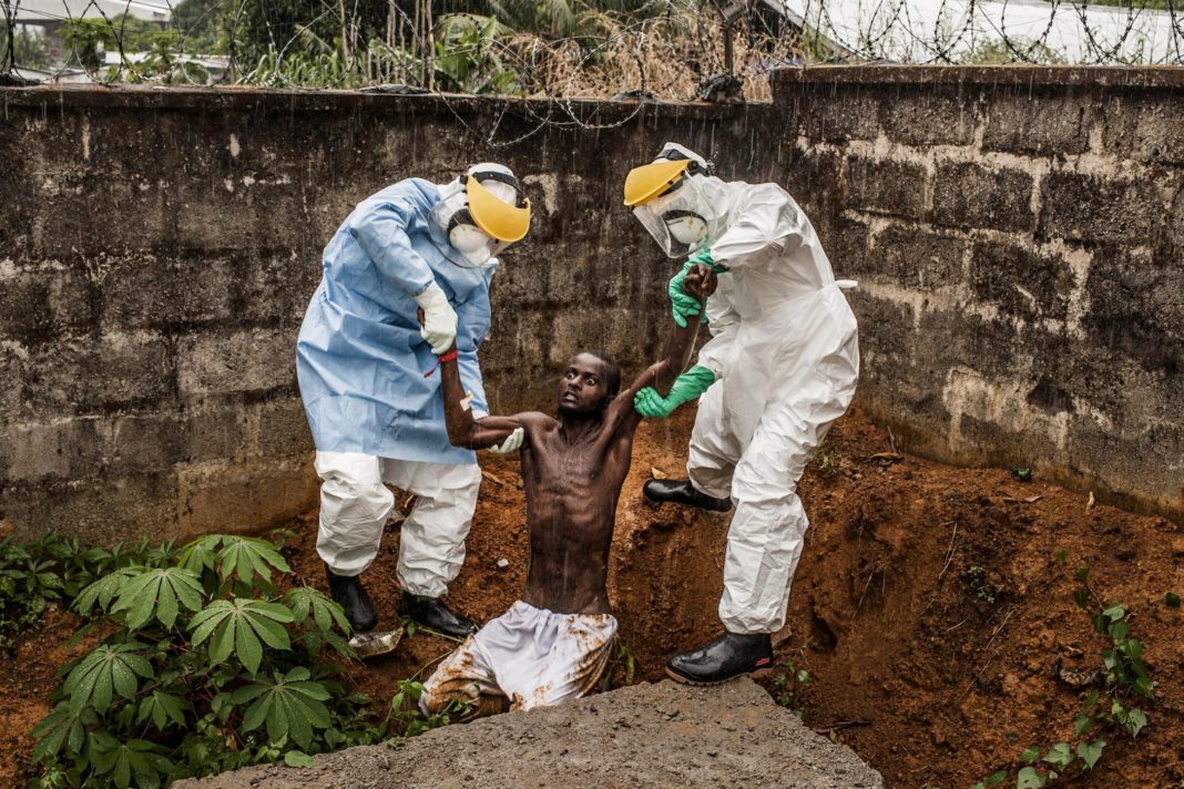 埃博拉病毒传播图片