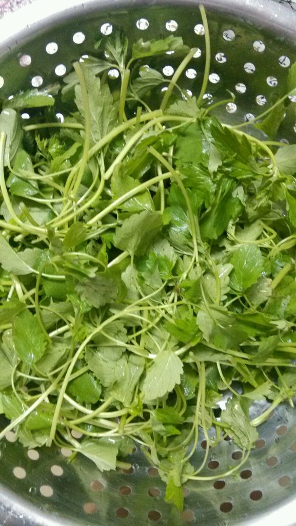 女人30岁后多吃它,既是药又是菜,活血调经抗衰老,专治女性痛经