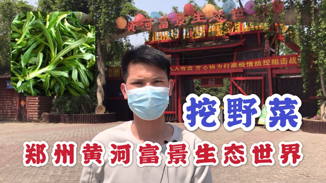 阿杰为做凉拌面条菜,去郑州黄河富景生态世界寻找,会有收获吗?