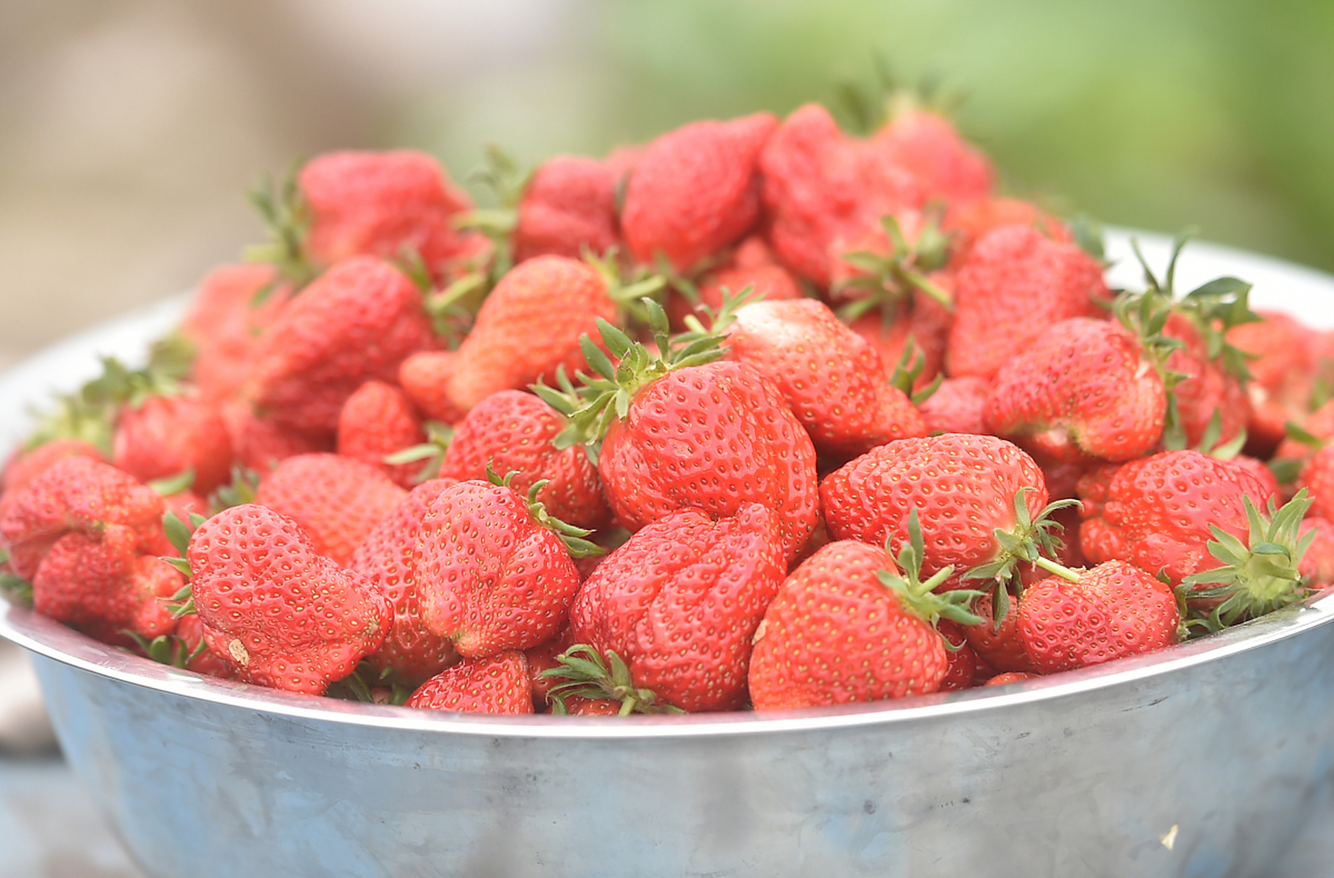 草莓中含有丰富的果糖,蔗糖,柠檬酸,苹果酸,果胶等物质,具有润燥生津