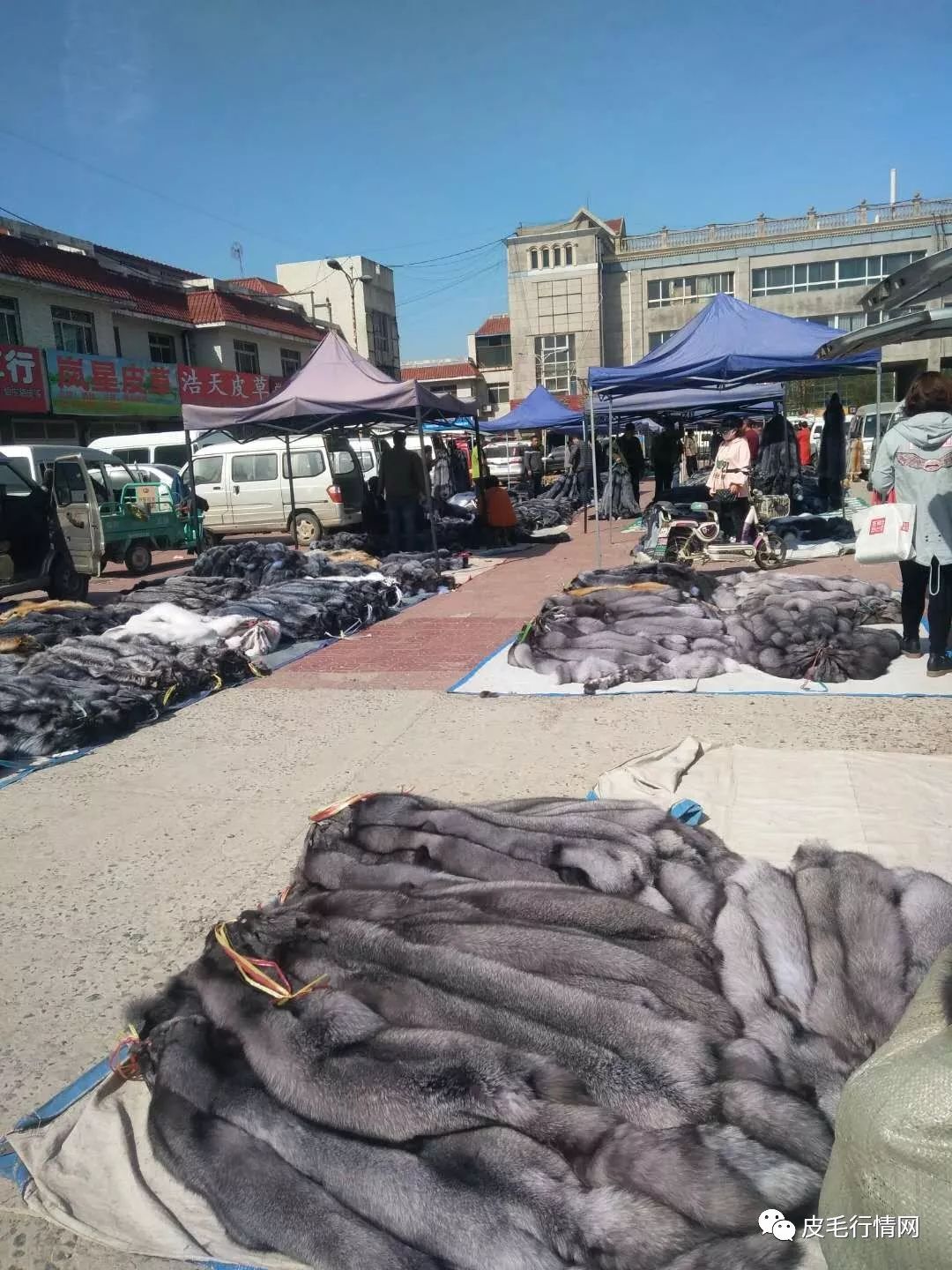 11尚村皮毛市场行情介绍