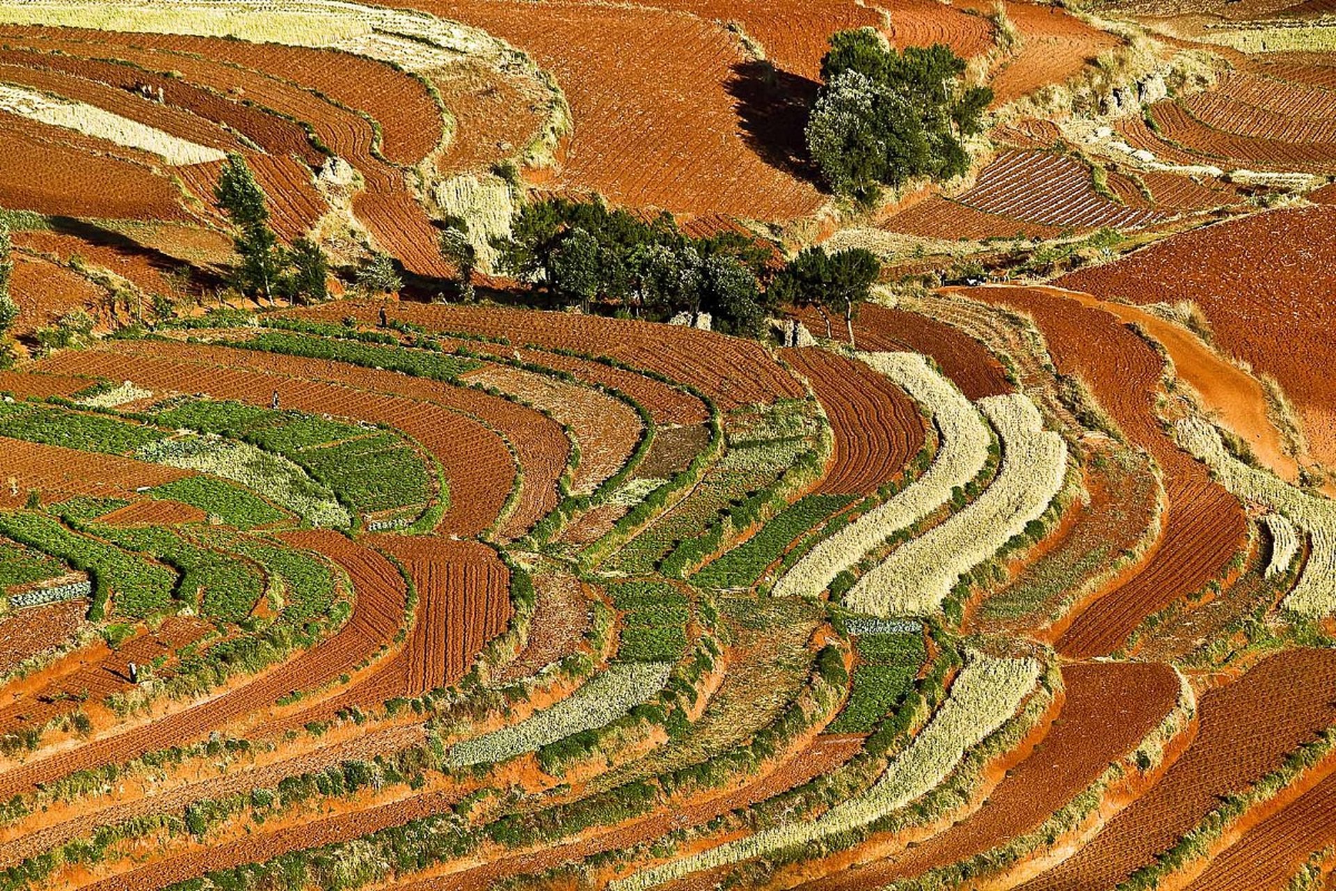 云南东川红土地照片图片