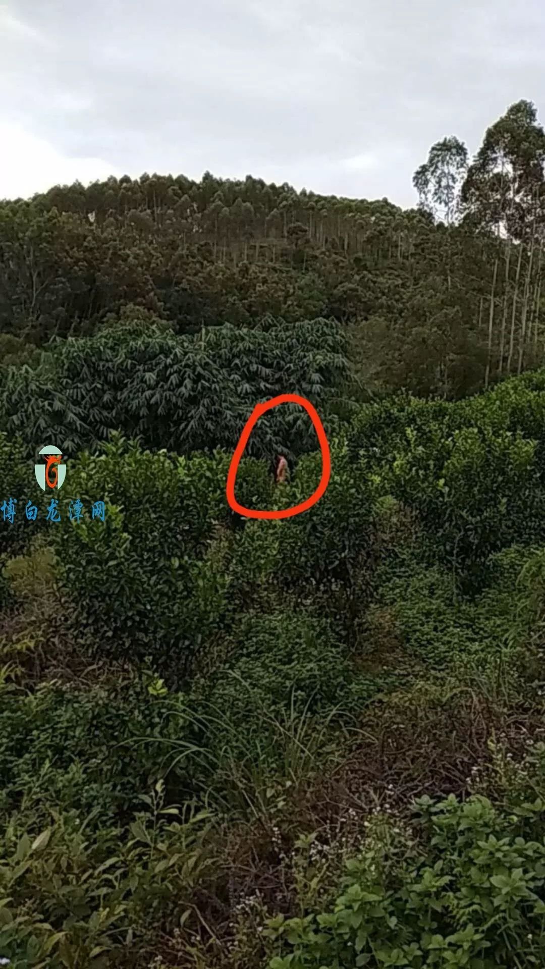 博白龙潭出现一名裸身男子,原来他是