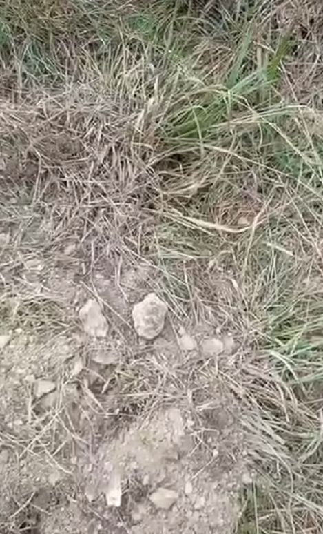 捡到一座荒山 baijiahao.baidu.com