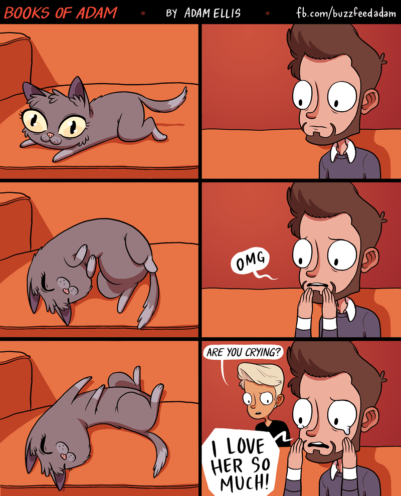 "亲爱的大卫"将被改编成电影,撸一发去年最火的推特都市传说