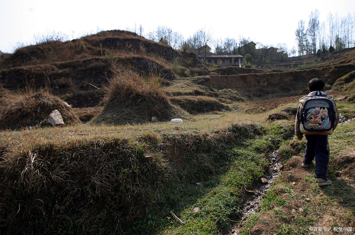 鬼吹灯迷的回忆,第一章,学校边的荒坟