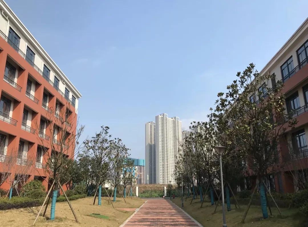 西雅小学:操场,体育馆,综合楼,右侧远处是象鼻窝公园.