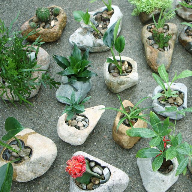 路边不起眼的石头,回家做成花盆,养点多肉在里面个顶个好看