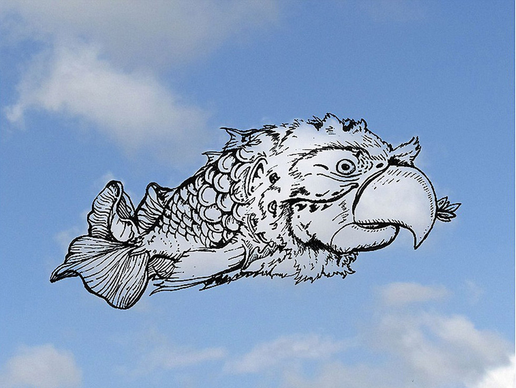 云朵描边大赛#【给云朵加加工】长着鹰嘴的鱼:和我们平常看到的鱼