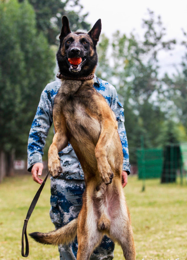 嗨 哥们儿! 谢谢你!