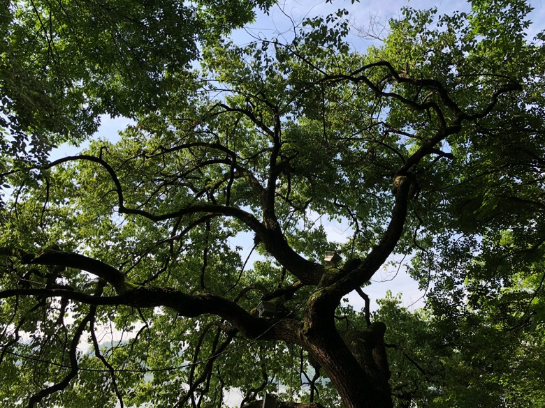 美麗的鸛山公園,風景秀麗,你來過這裡嗎?