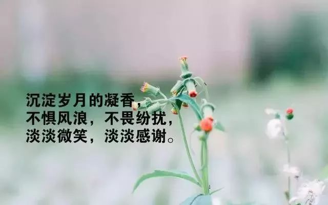 微信很流行的心情说说带图片