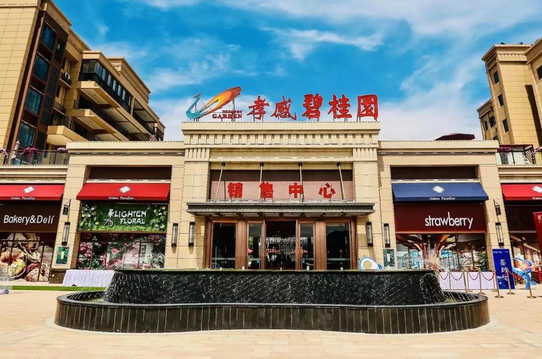 孝感碧桂园|走在孝感前线,热点信息早知道!