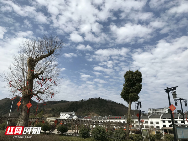 石门维新镇:整治"空心房"焕颜新维新
