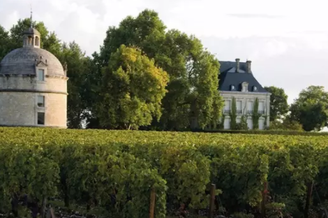 法国很好看的6个酒庄城堡,你想要走一遭吗?
