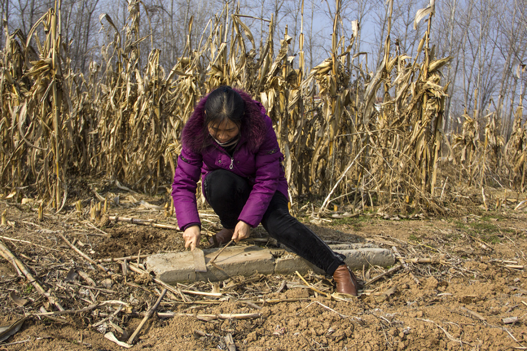 农村大姐死磕病毒,存储食物可吃一年:好习惯坚持很多年