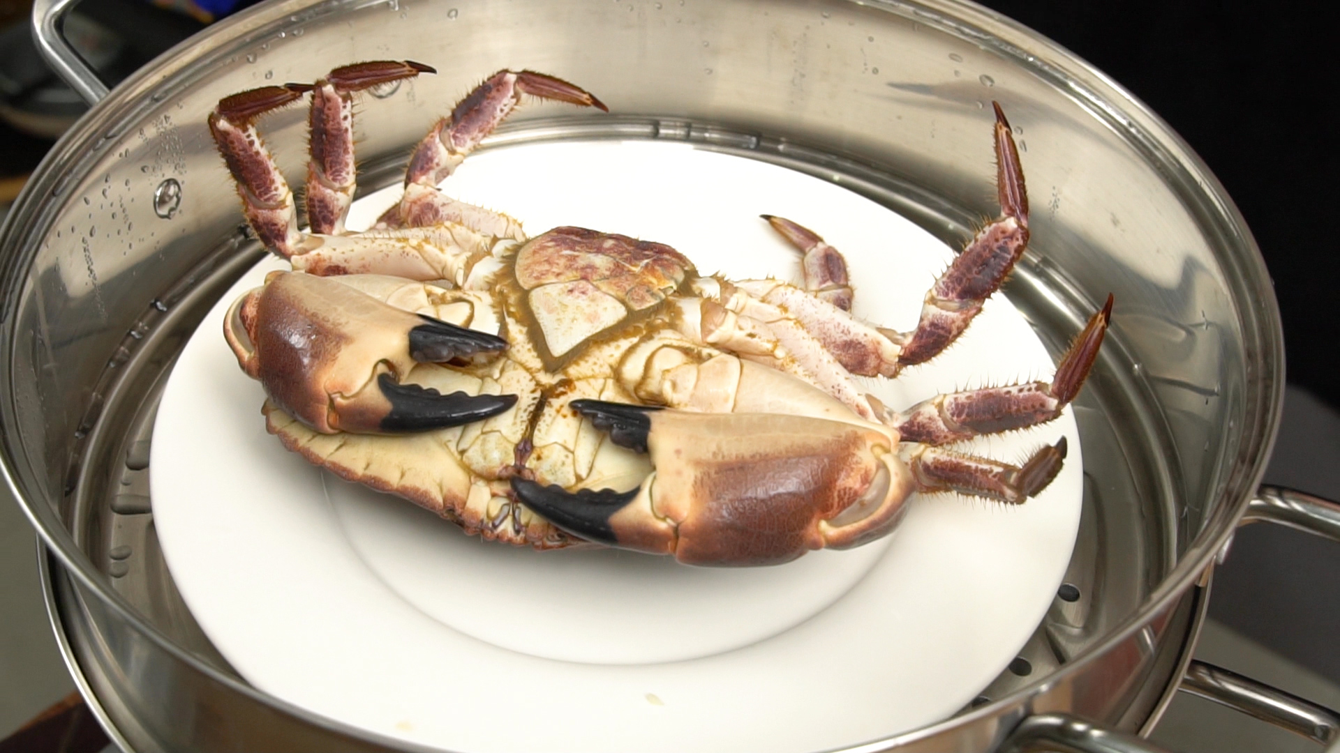 「海鲜大餐」顶级海鲜,好吃到让你尖叫的面包蟹