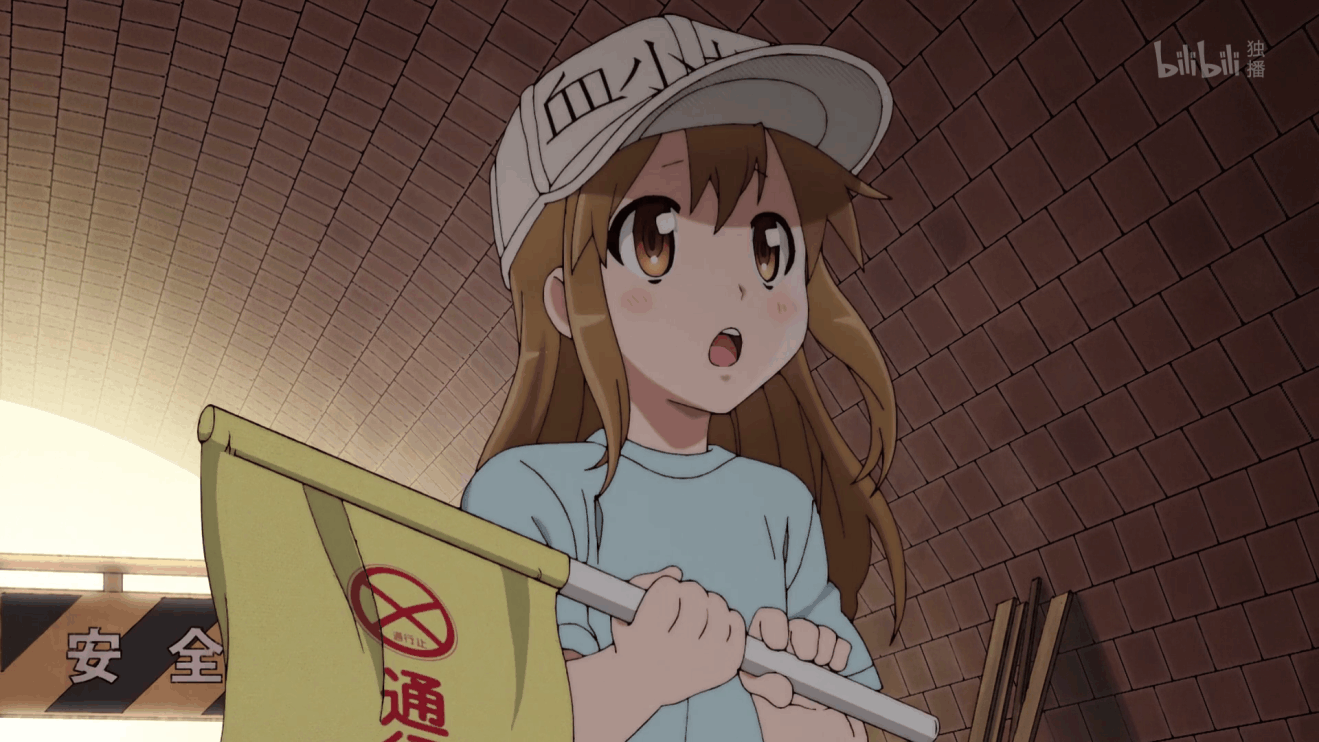 《工作细胞》医学知识科普,其实白细胞寿命很短,没有时间谈恋爱