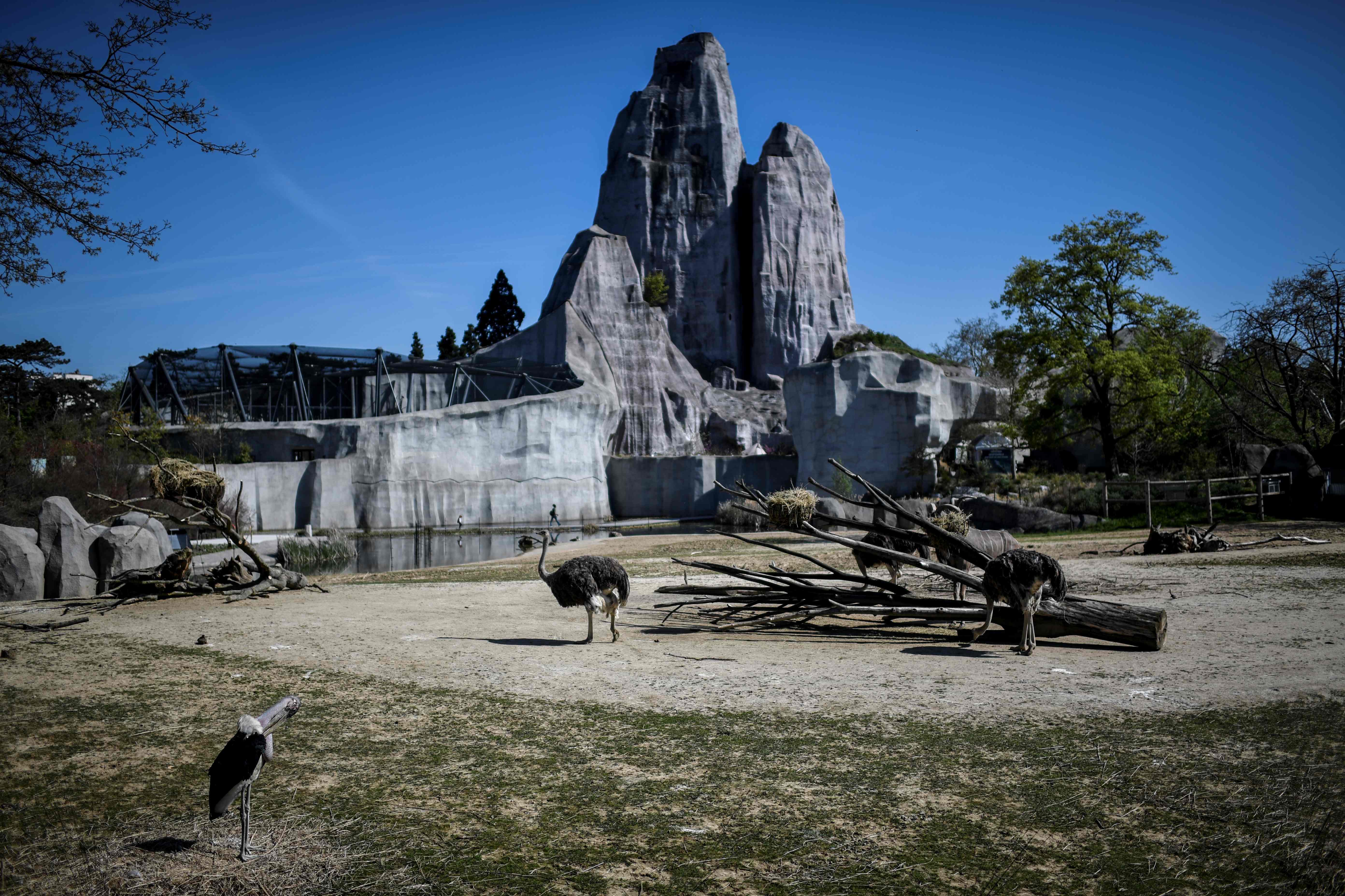 巴黎万塞讷动物园(23)