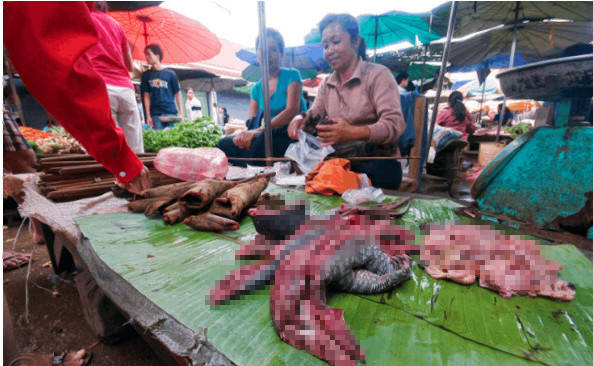 老挝菜市场活剥蜥蜴,场面血腥当地人却喜爱至极