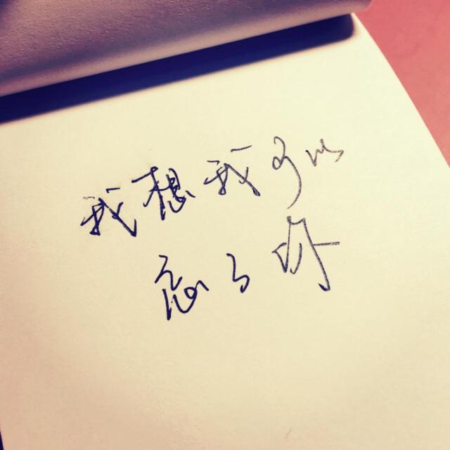 我打算忘记你了.我知道很难,但我决定试试