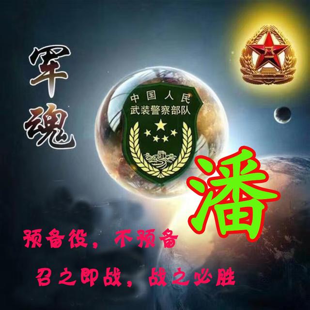 这是最酷的武警头像