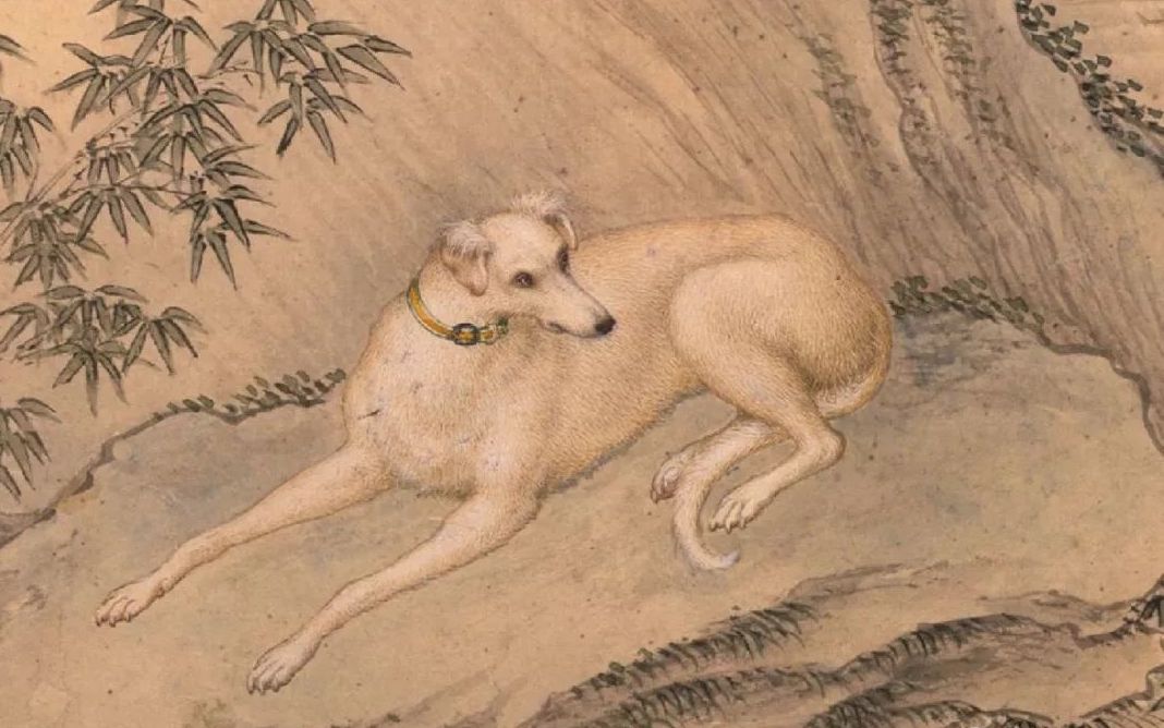 师徒二人皆为宫廷绘画一流高手,比拼画狗看谁更胜一筹!