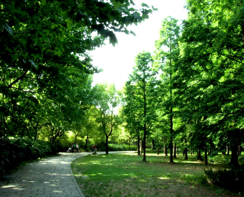 共青森林公园,位于上海市东北部,杨浦区军工路