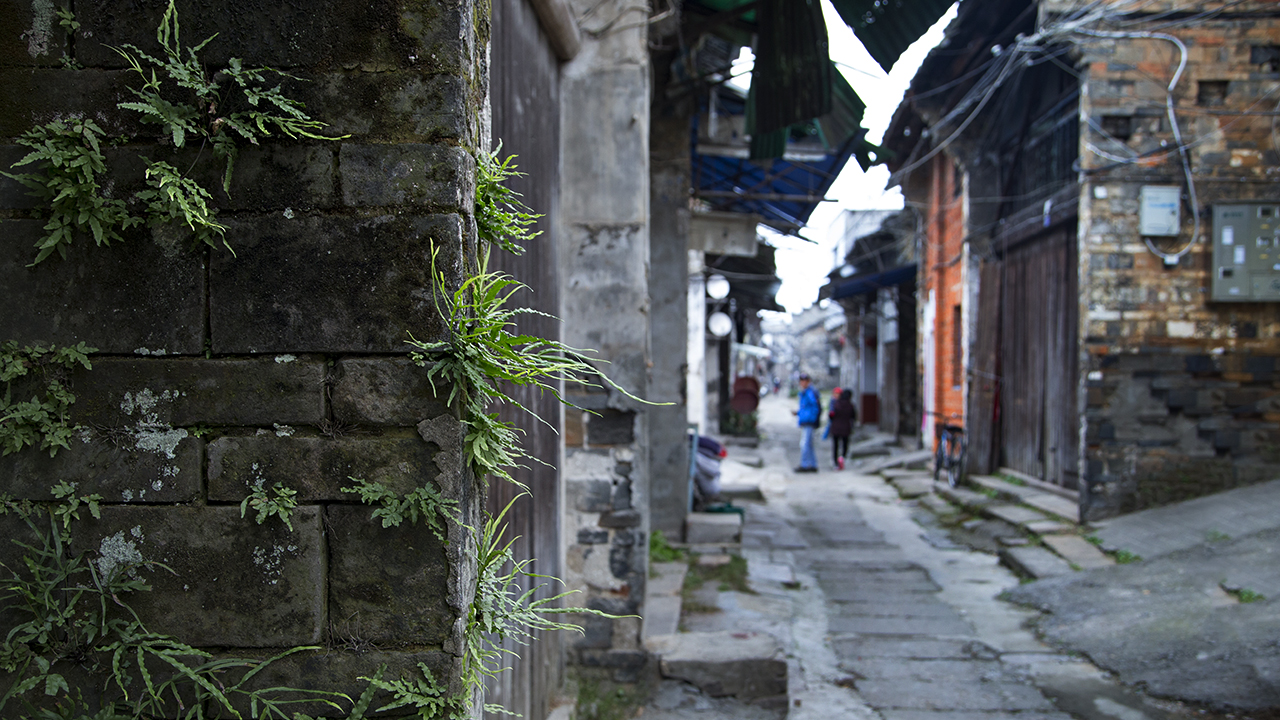 古镇街印象|探访太湖老城晋熙老街