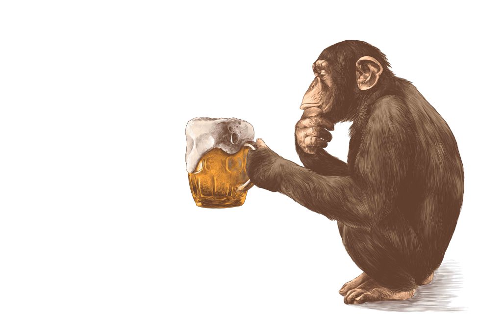 "醉猴"假说:酗酒是种"进化后遗症",酒精摄入帮助了人类祖先
