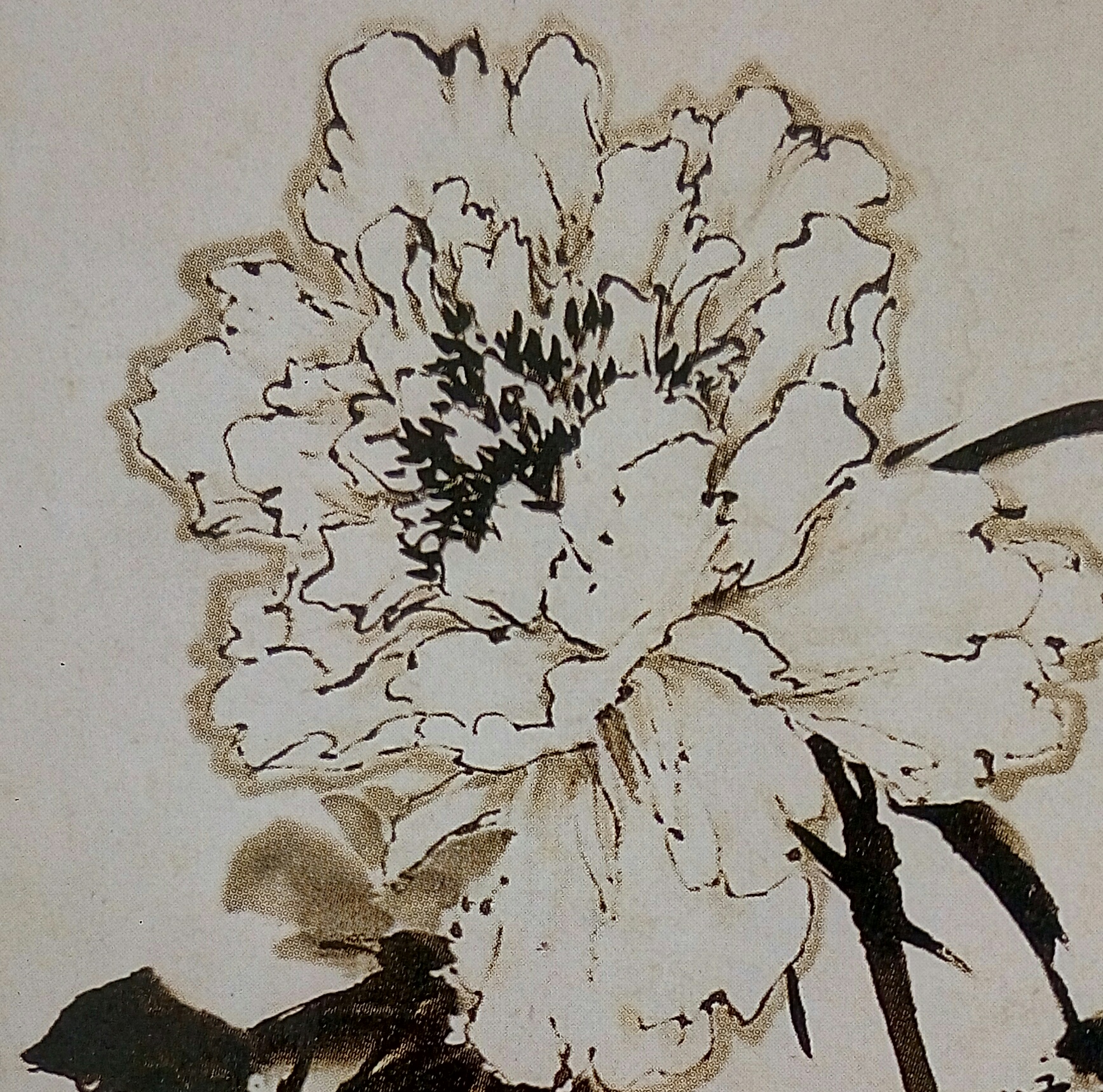 水墨画:写意牡丹草勾法的基本要领