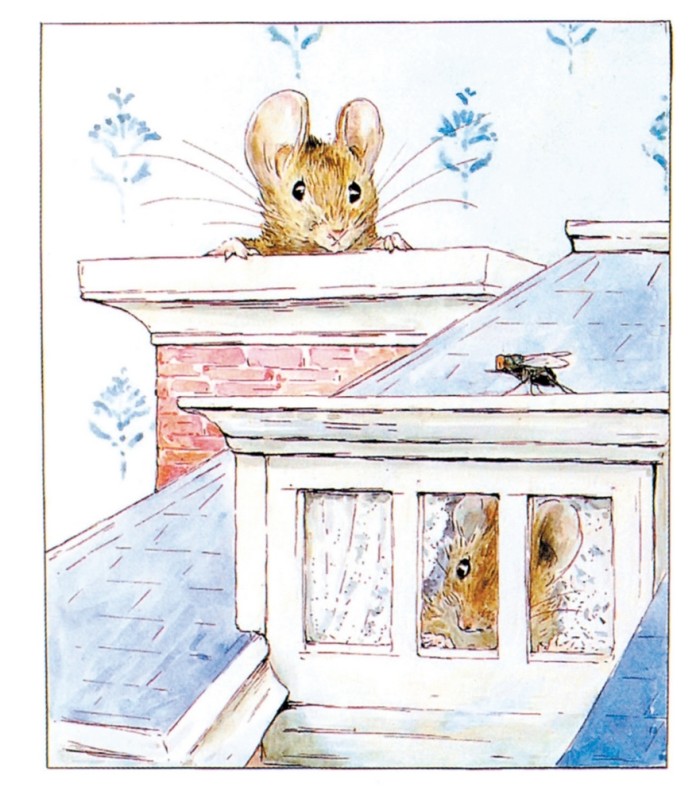 最美插画:你还记得彼得兔吗?它就像童年时的你一样淘气又可爱