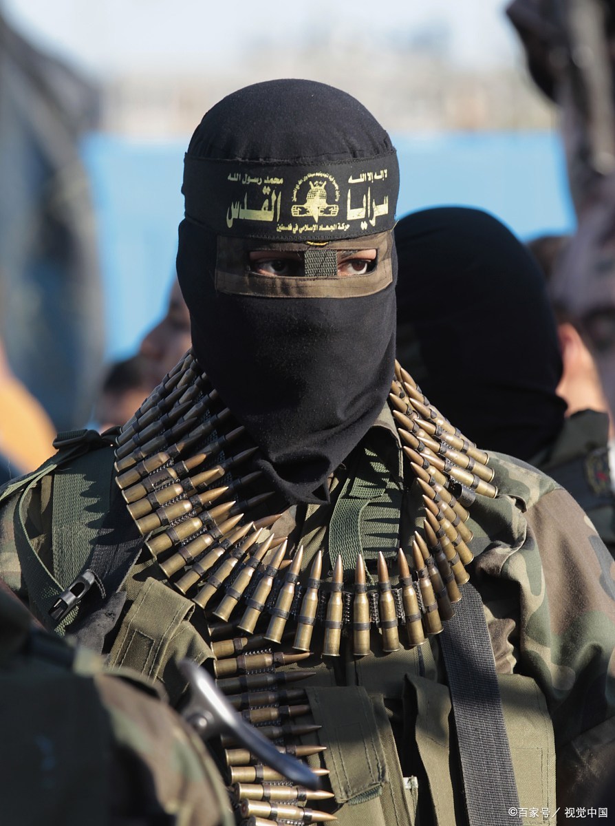 一篇文章弄懂塔利班