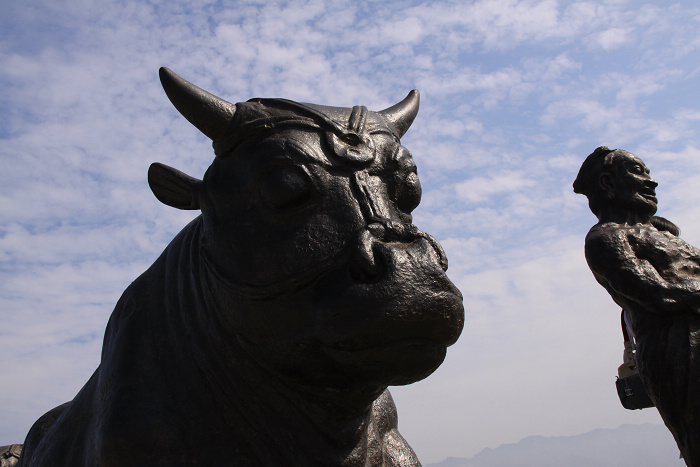 黄河的"镇河神兽"淹没河底一千年不腐,重见天日引围观