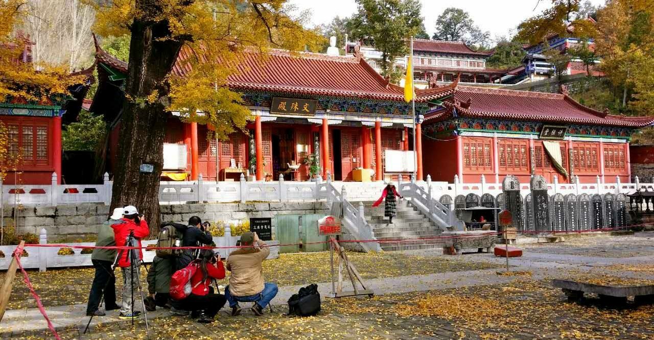 平顶山文殊寺真实风景照,佛教文化气息浓厚,寺中古树被称活化石