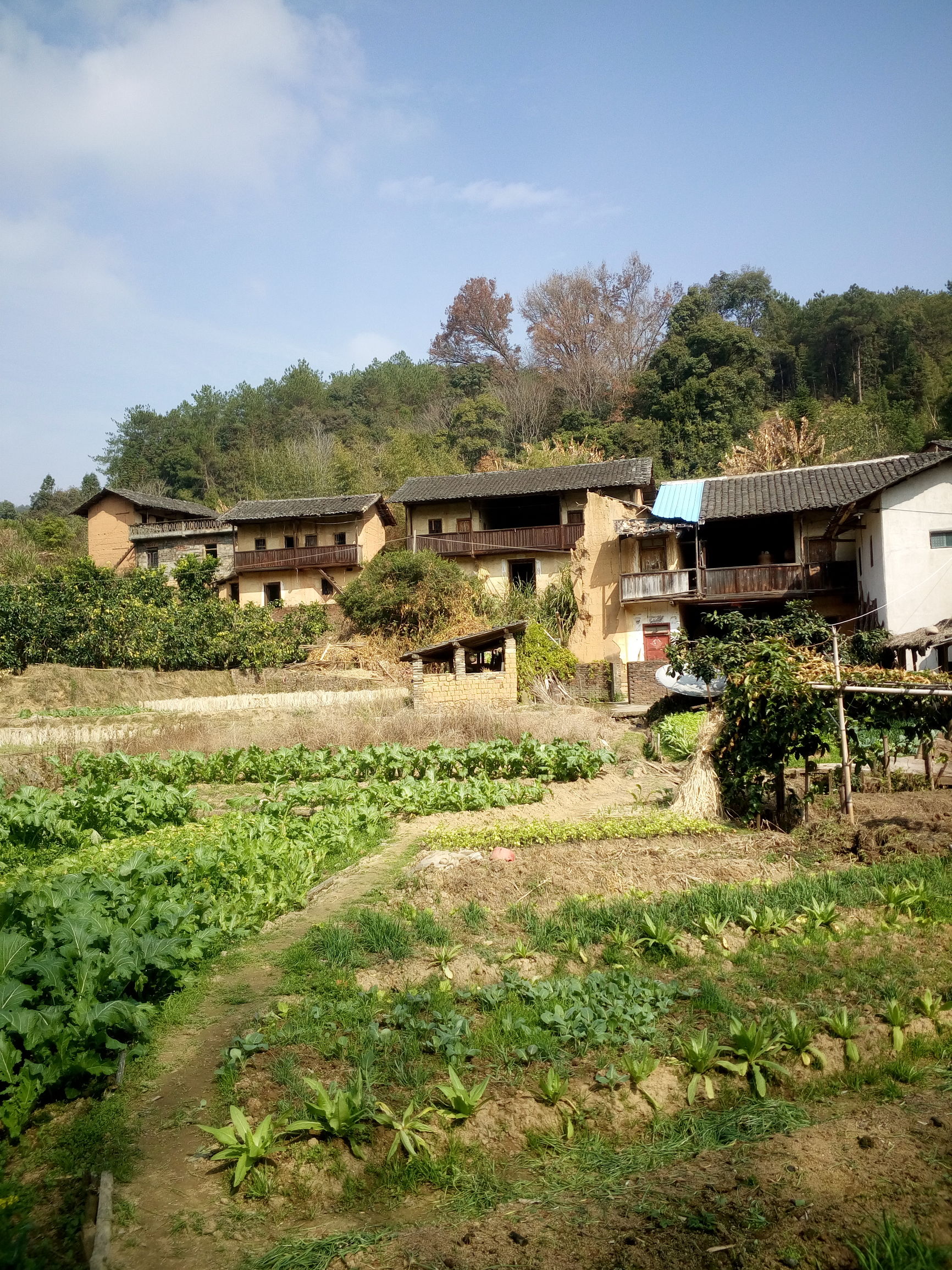 旅游:龙岩市永定县城郊乡樟坑一览