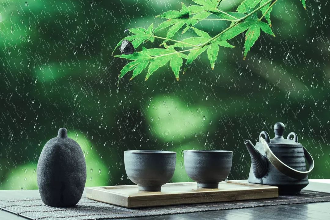 而爱茶之士,却摩拳擦掌,准备迎接春天的最后一飨盛宴—谷雨茶.