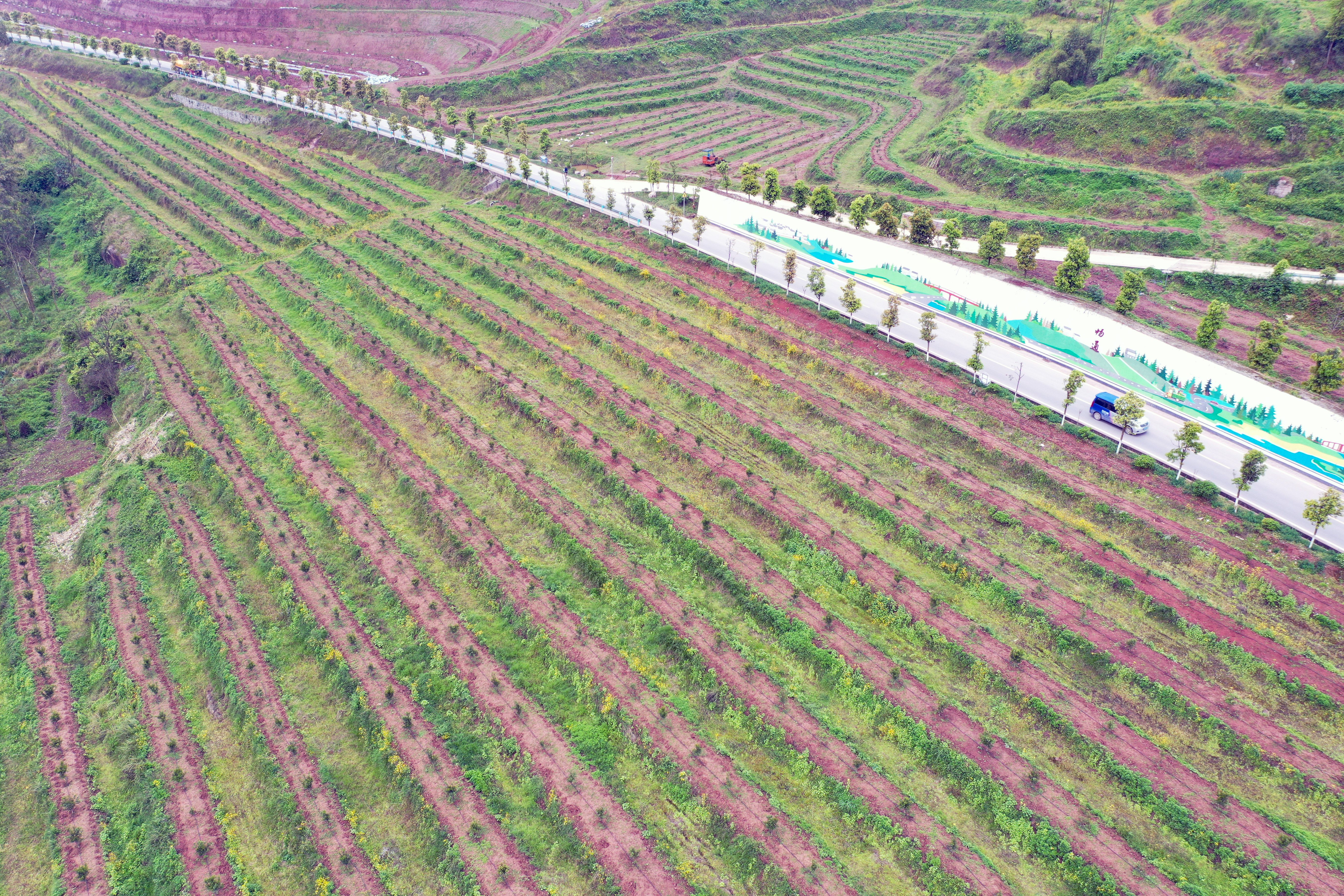 重庆渝北:"双十万工程"探索破解丘陵山区乡村振兴难题