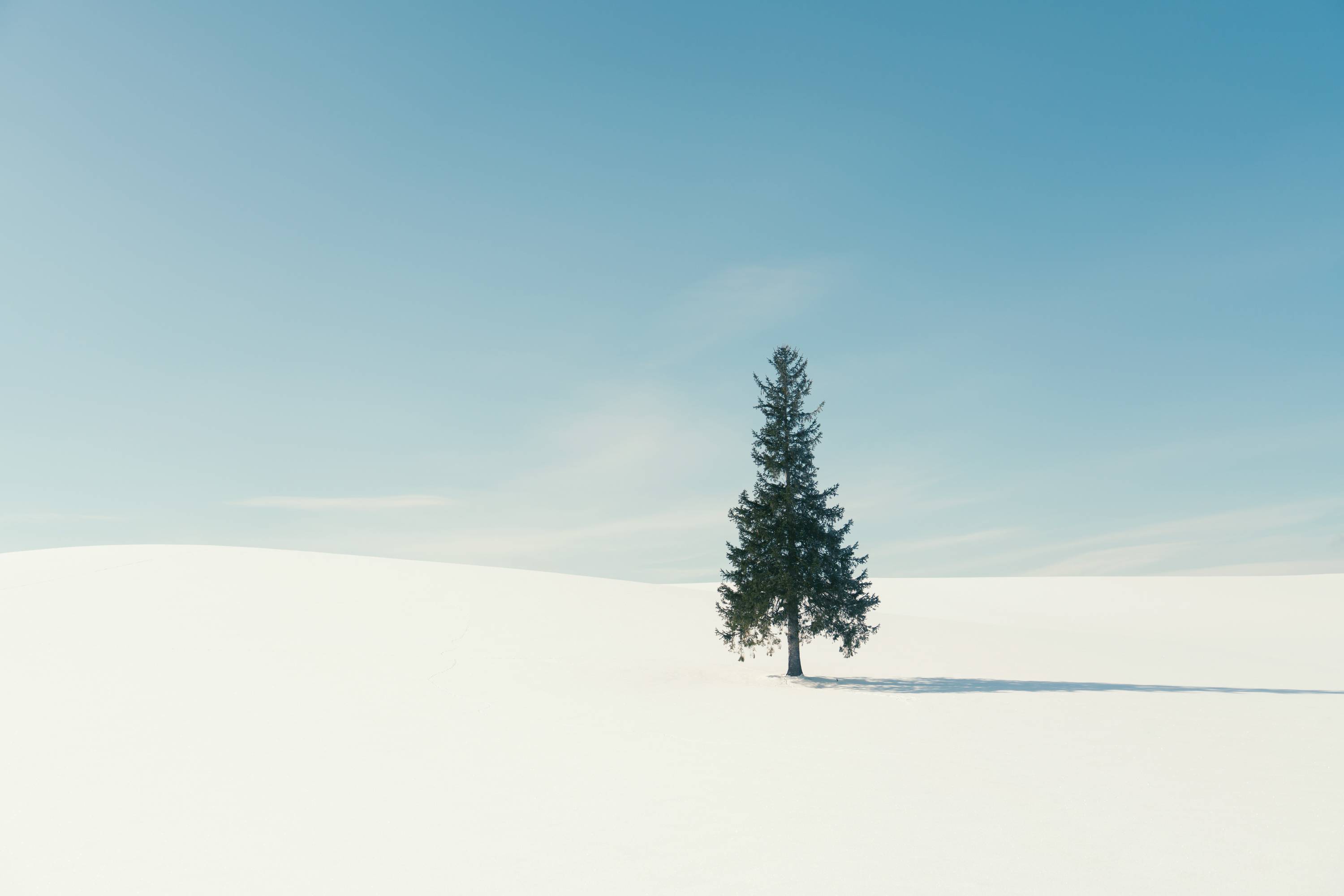 日本北海道,景色美轮美奂,你准备好了吗?