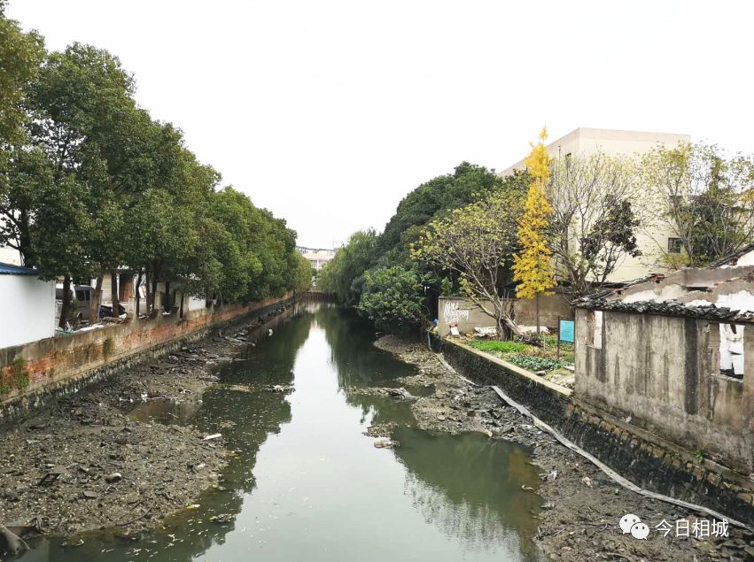 澄阳街道横泾港脏臭谁来管?彻底断绝污水源头!