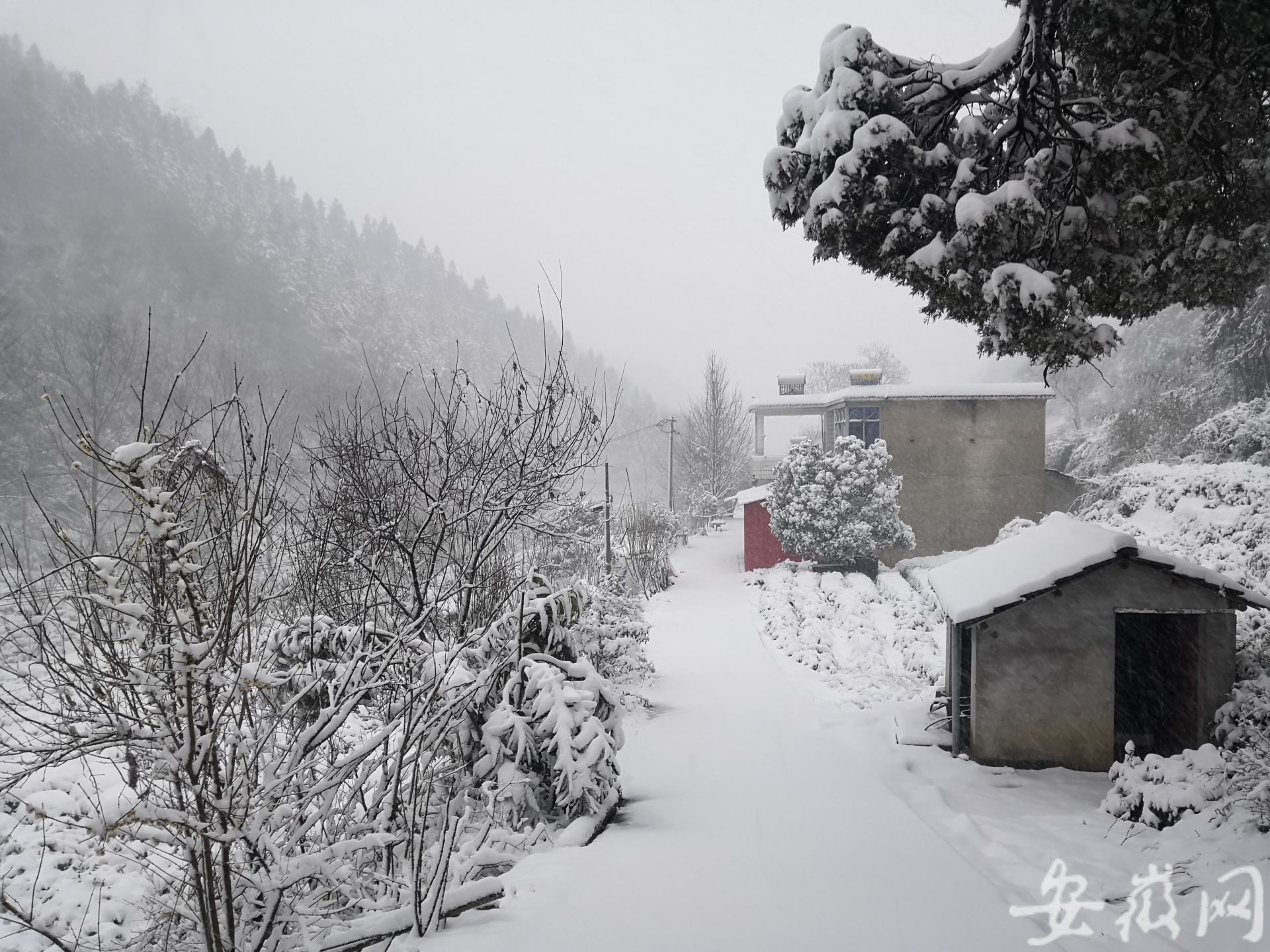 安徽农村雪景图片