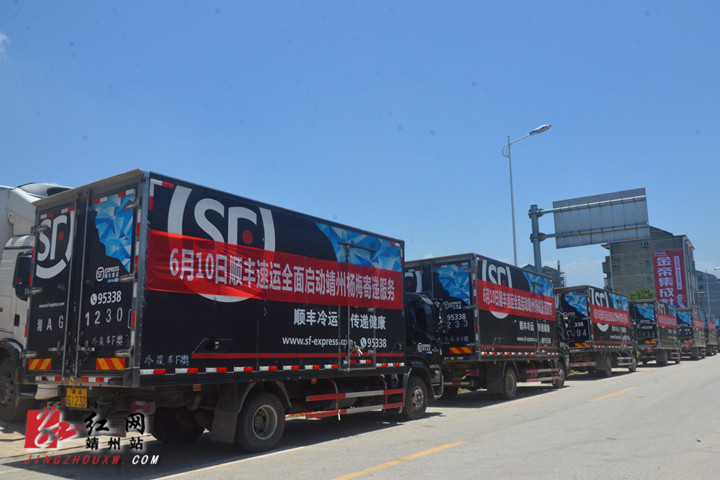 靖州杨梅搭上"顺丰车" 72小时寄件8万余箱