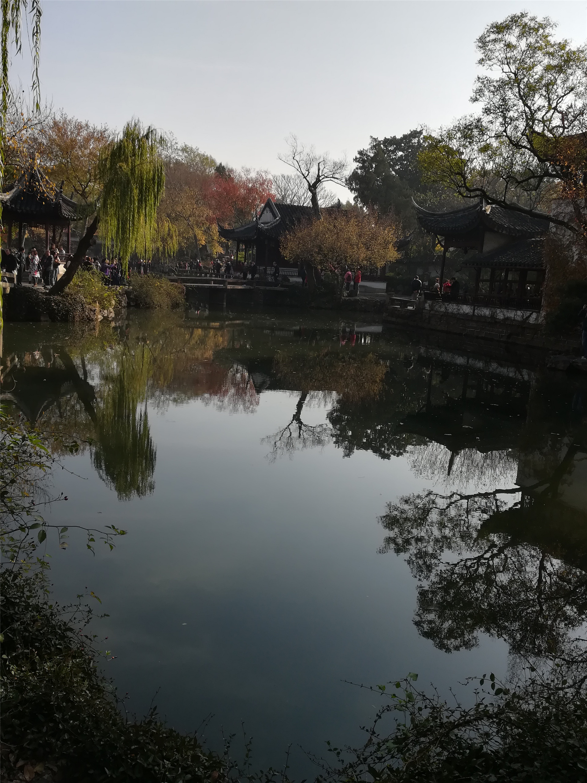 游苏州园林,赏美景(三)