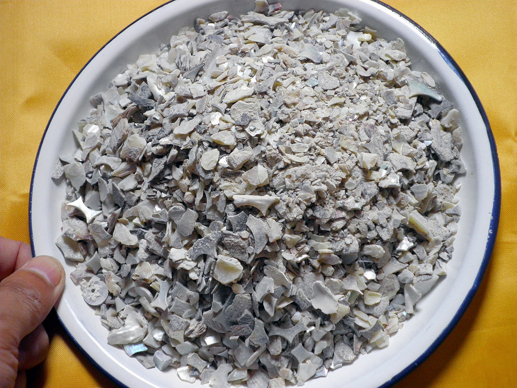 中药石决明功效解析:平肝潜阳,清肝明目【仅供参考】  中药石决明:性