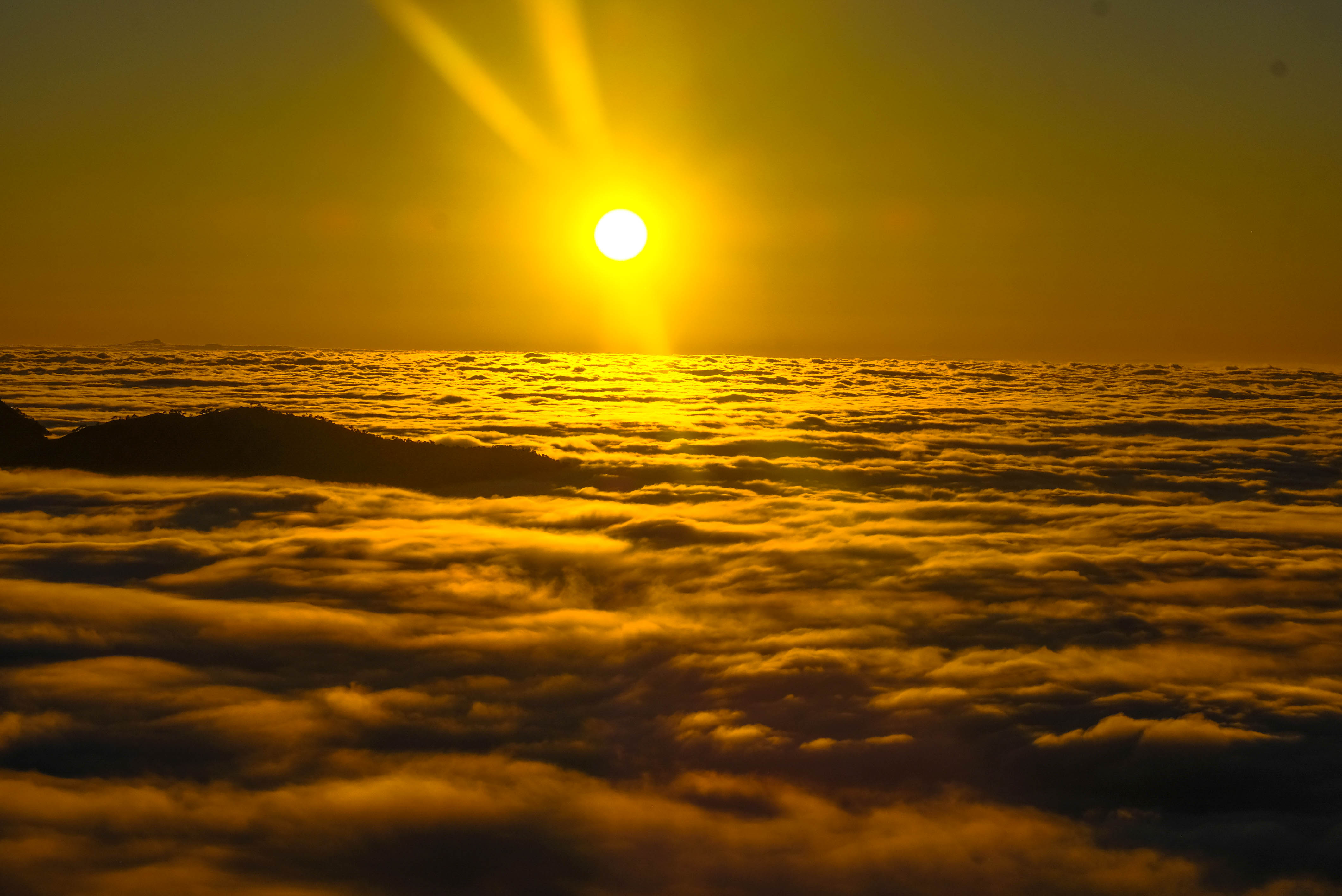 傍晚,太阳即将隐去,整个云海被镀上了一层金色的光,像一位妩媚而迷人