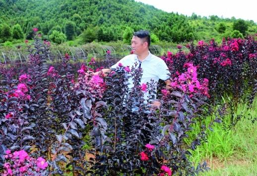 "万樟园林"绿富万民——记全国脱贫攻坚奖奉献奖获得者刘祖治
