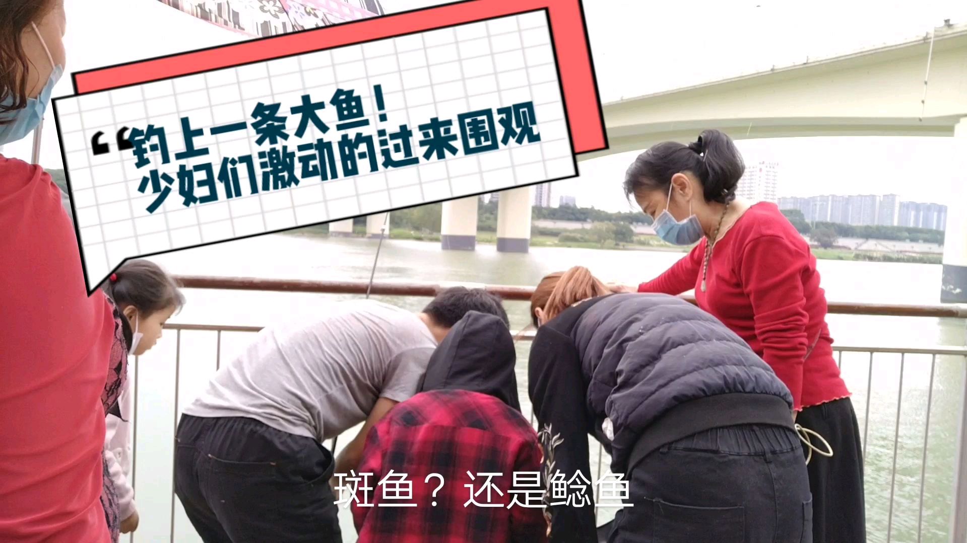 在邕江钓上一条大鲶鱼!江边散步的美女们过来帮忙拉上岸!好激动