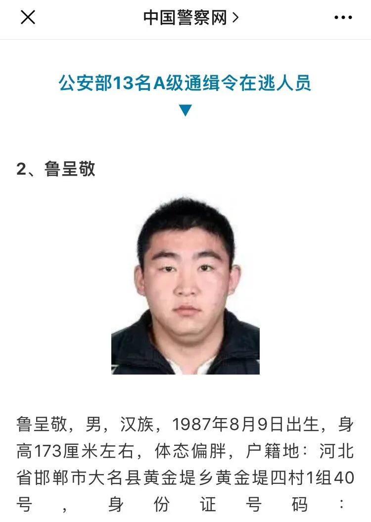 石家庄市吴迪案,邯郸市贺金山案被全国扫黑办挂牌督办!