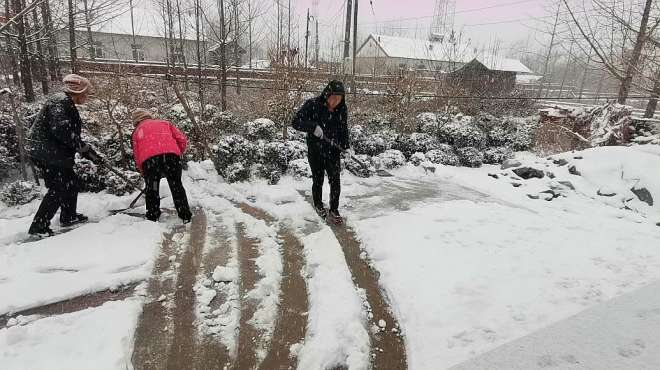 [图]防控期间丹东下暴雪，一家人冒雪扫除，还没扫完就跑雪地撒野了